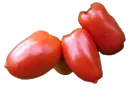 Pomodoro San Marzano